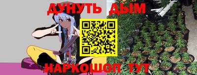 дмт Кинель